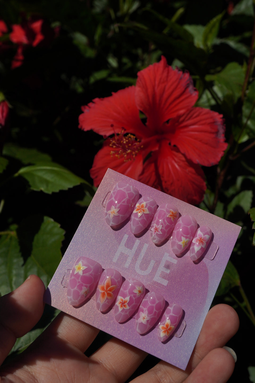 Plumeria