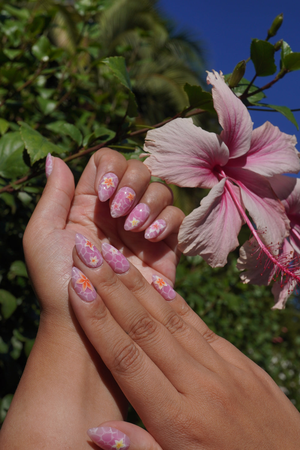 Plumeria