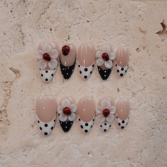 Ladybug Picnic