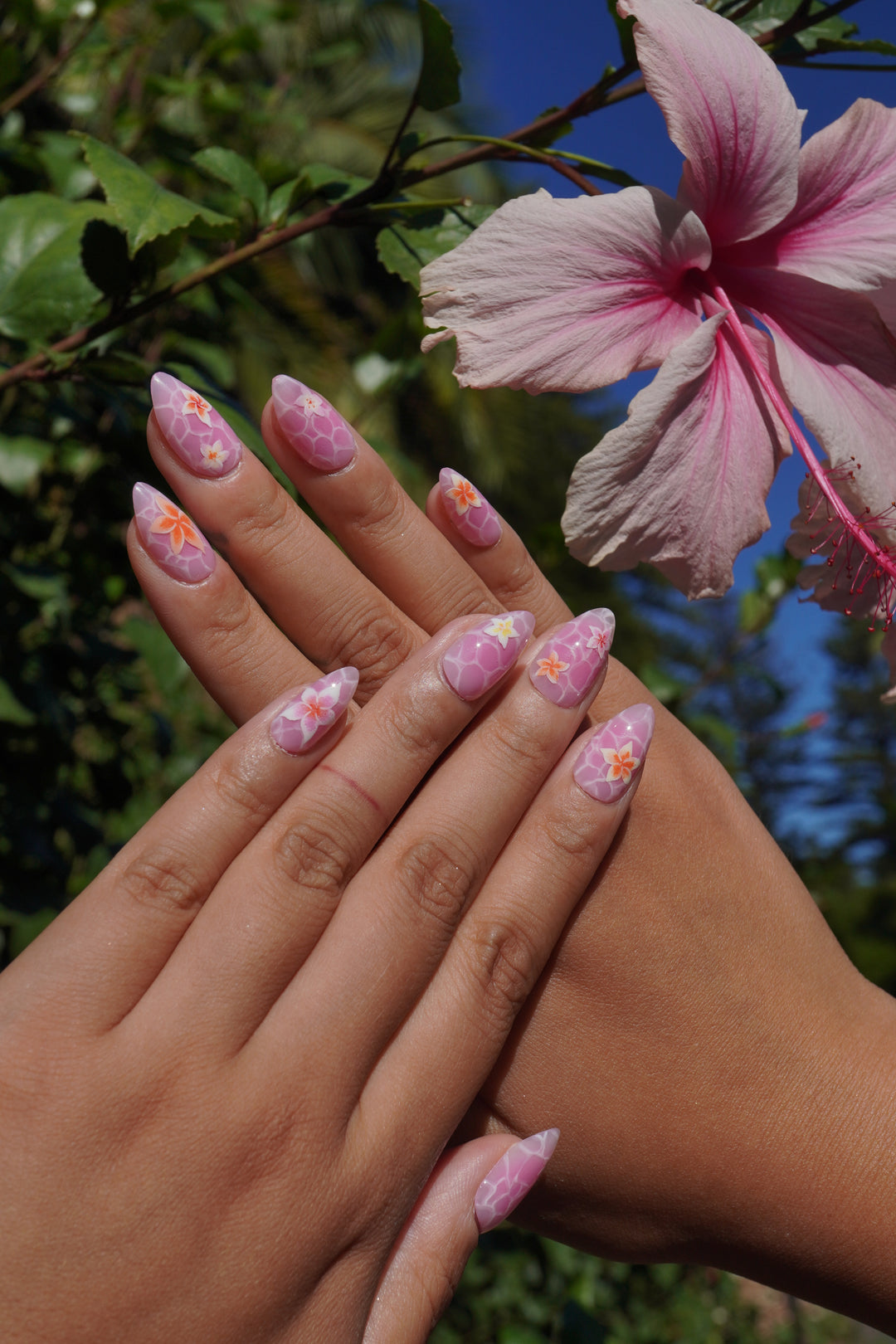 Plumeria