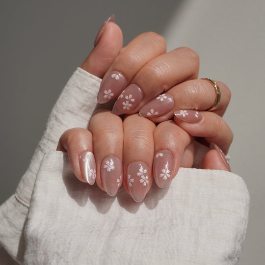 Sakura Dream