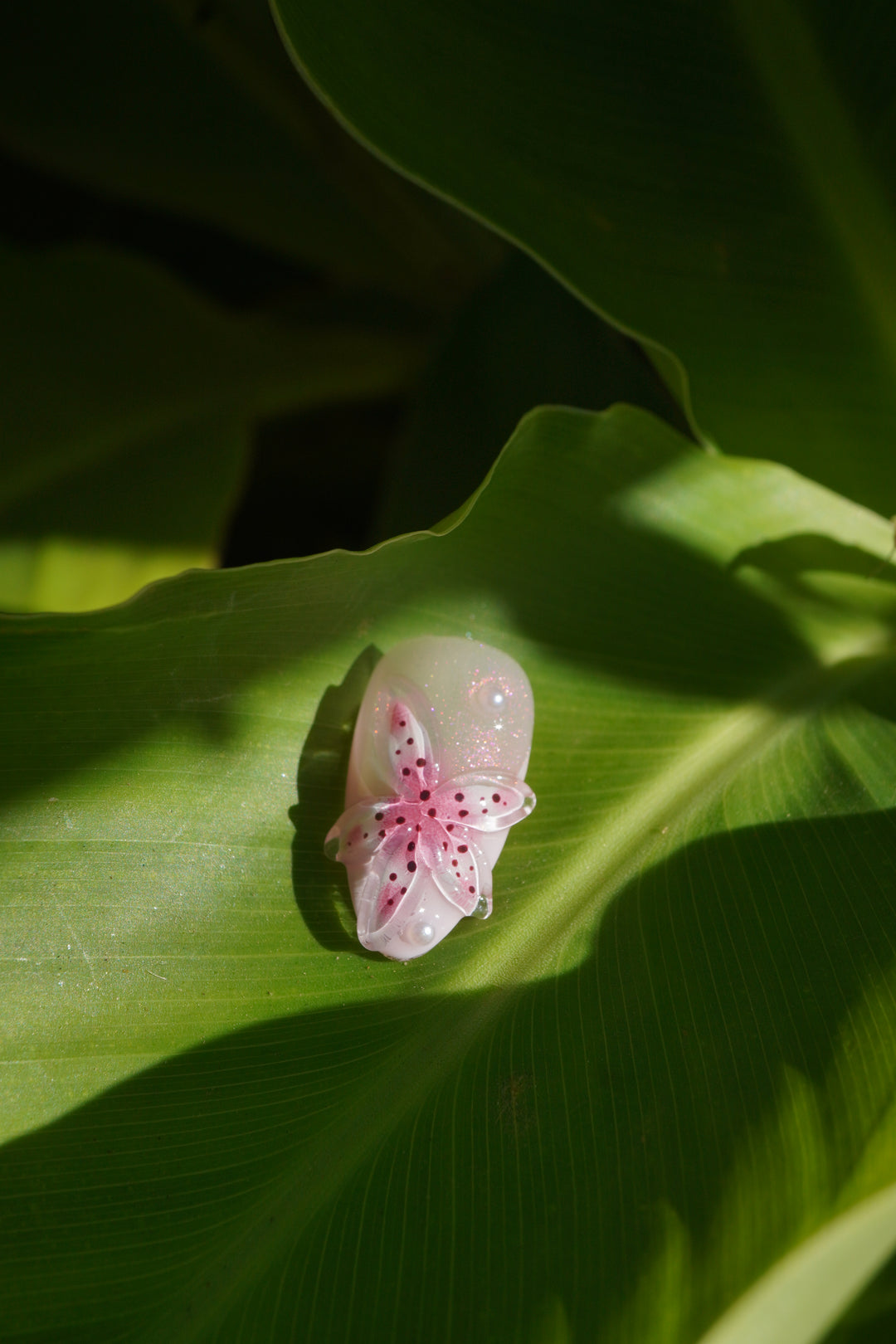 PinkPetal