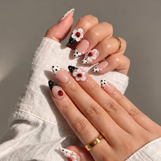 Ladybug Picnic